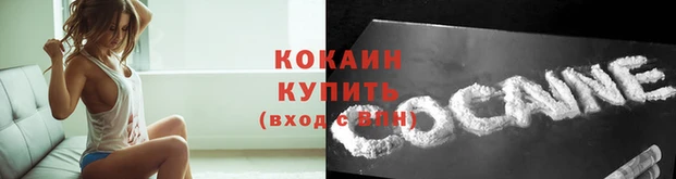 хмурый Новозыбков