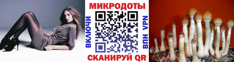 Галлюциногенные грибы ЛСД  mega ссылки  Приволжск  даркнет сайт 
