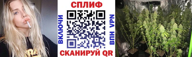 Бошки Шишки SATIVA & INDICA  Приволжск 